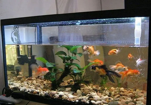 合肥鱼缸